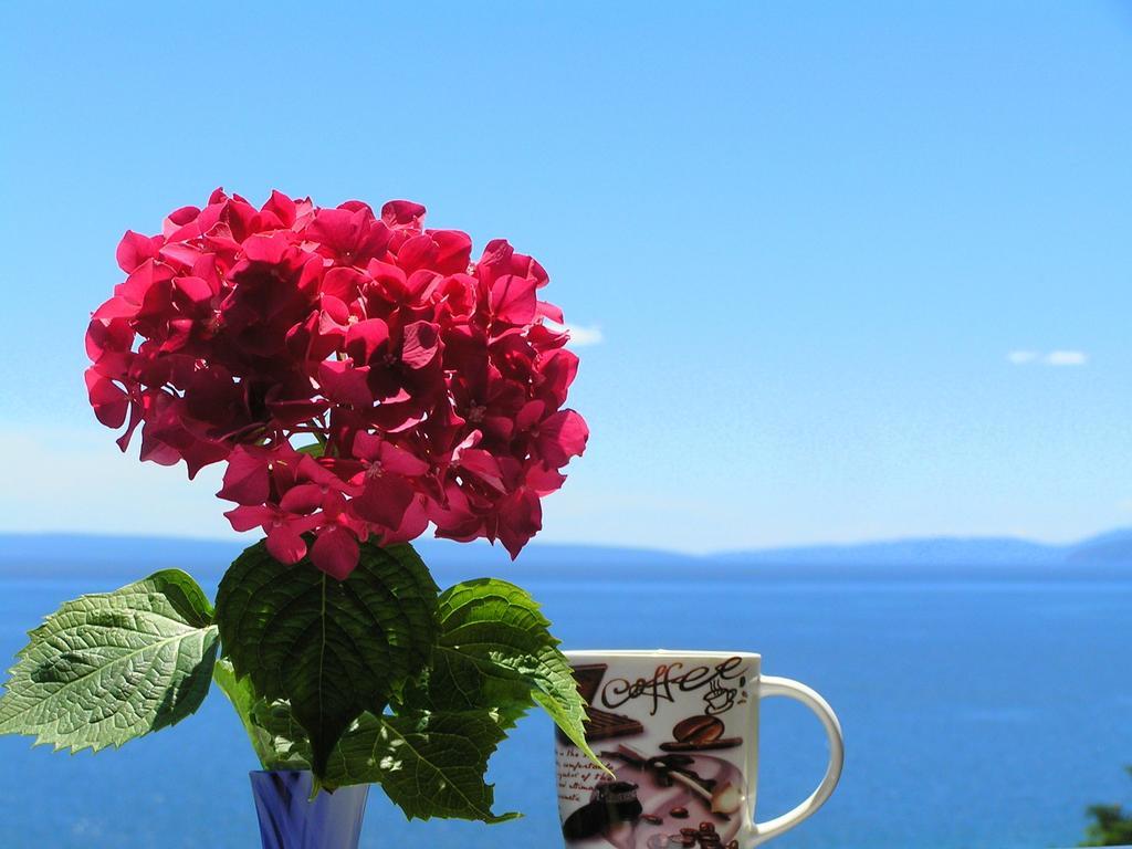 Guest House Lifestyle Holiday Opatija Phòng bức ảnh